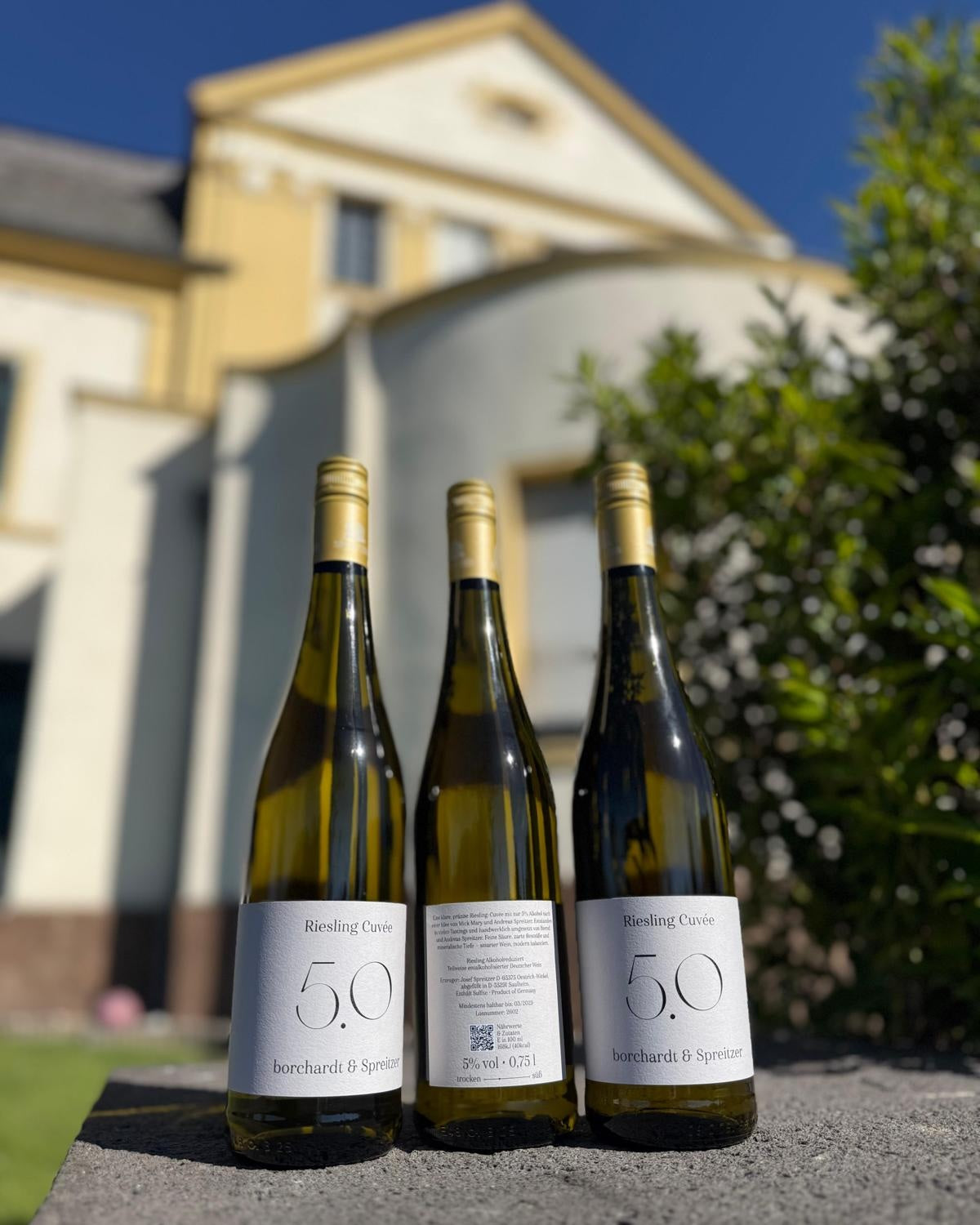 5.0 Riesling Cuvée borchardt x Spreitzer (3 Flaschen)